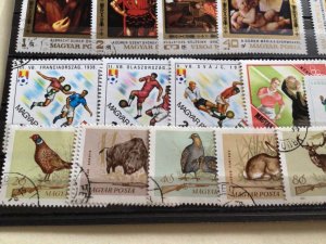 Hungary wild animals sport and art stamps A11759