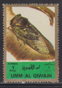 UAE Umm Al Qiwain Unlisted  Insects & Nature