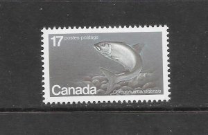 FISH - CANADA #853 ATLANTIC WHITEFISH   MNH