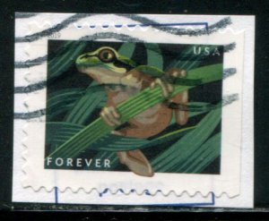 5398 US (55c) Frogs - Squirrel Tree Frog SA, used on paper