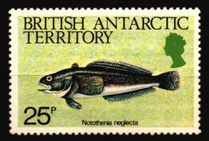 British Antarctic Territory Unused NH Scott 113