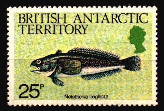 British Antarctic Territory Unused NH Scott 113