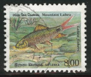 Sri Lanka Scott 979 used 1990 fish stamp