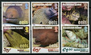 Ascension Island Fish Stamps 2017 MNH Eels Moray Eel Fishes Marine 6v Set