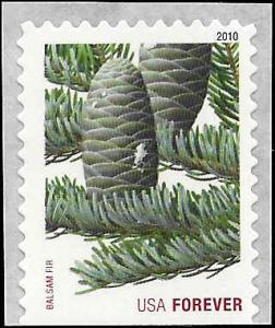 4484 Mint,OG,NH... SCV $1.00