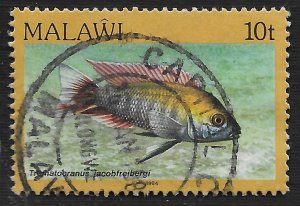 Malawi #432 10t Fish - Trematocranus Jacobfreibergi