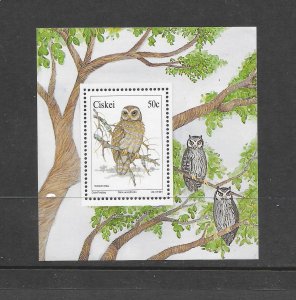 BIRDS - SOUTH AFRICA (CISKEI #166a)  WOOD OWL  MNH