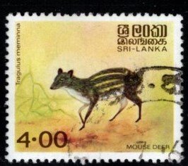 Sri Lanka #730 Mouse Deer - Used