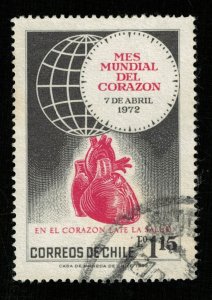 1972, Chile, 1.15 (RТ-480)