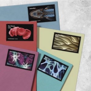 Life Magnified  forever stamps  5 sheets of 20PCS, total 100pcs