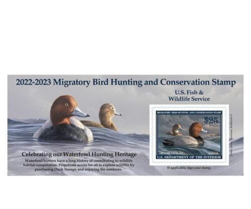 Scott #RW89 RW89A 2022 - Mac's Federal Duck Stamp Mint + FREE ALBUM PAGE+ MOUNTS 