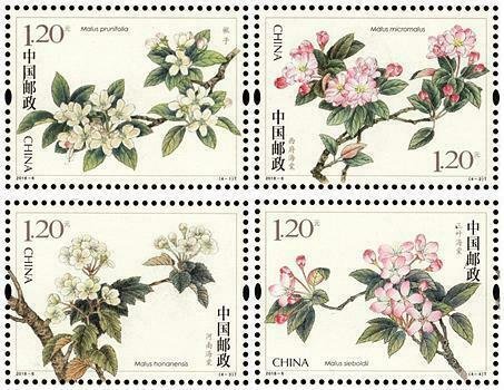TangStamps: China 2018-6 Malus Spectabilis