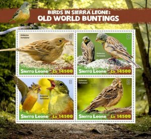 Sierra Leone Birds on Stamps 2020 MNH Old World Buntings Bunting 4v M/S