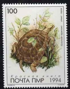 TRANSDNISTRIA - 1994 - Tortoise - Perf Single Stamp - Mint Never Hinged