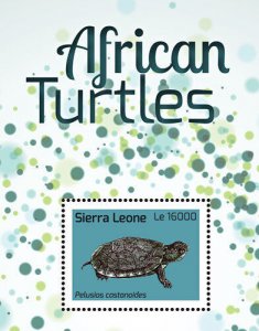 Sierra Leone 2013 - African Turtles - Souvenir Stamp Sheet - Scott #3166 - MNH