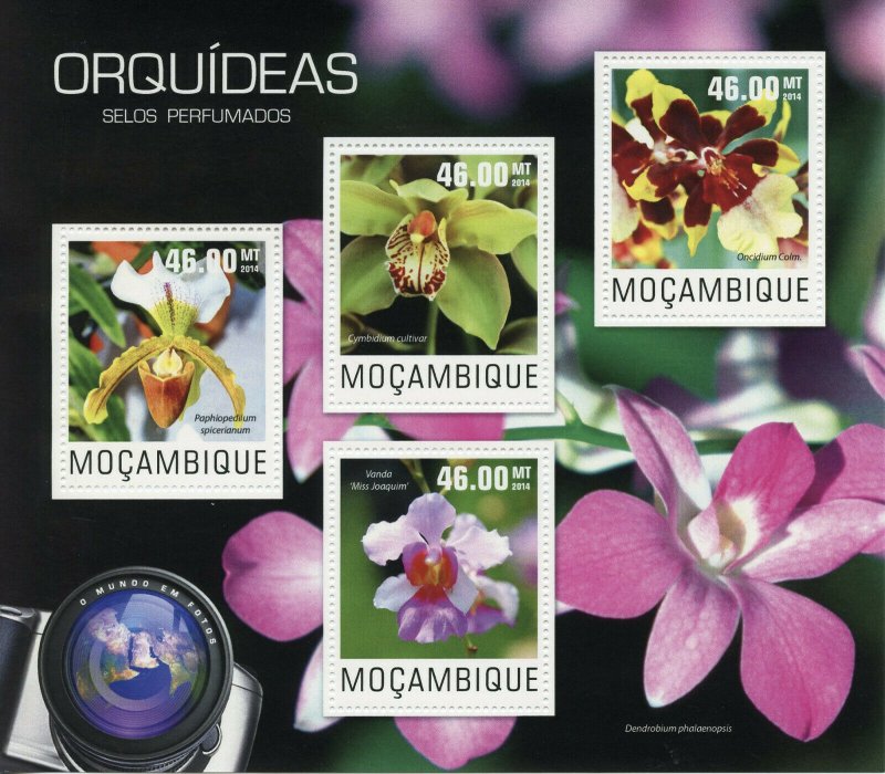 Mozambique Flowers Stamps 2014 MNH Orchids Vanda Miss Joaquim Nature 4v M/S 