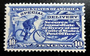 US 1902 10¢ Special Delivery Stamp #E6 Ultramarine MLH CV $250