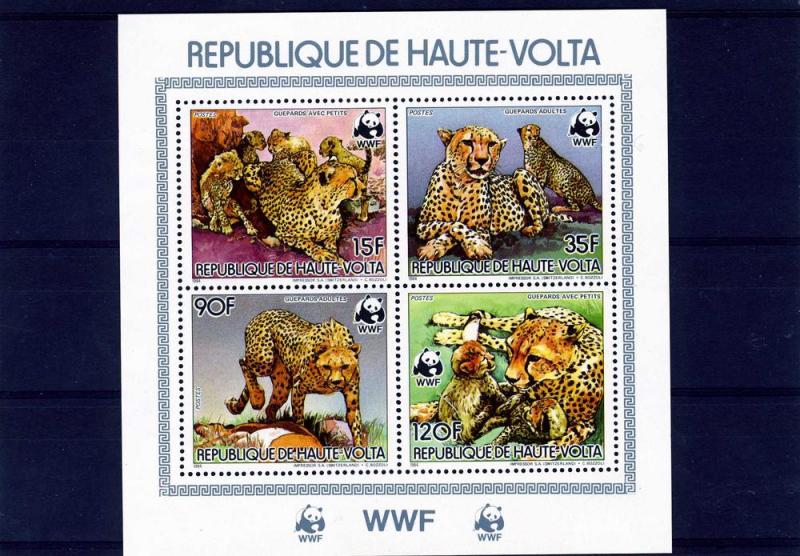 Upper Volta 1996 WWF WID CATS s/s Perforated Mint (NH)