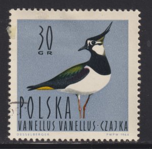 Poland 1231 Lapwing Bird 1964