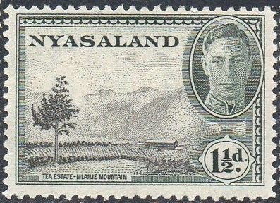 Nyasaland 1945 1½d Tea estate MH
