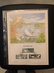 Isle of Man swans FDC panel big size, plastic holder