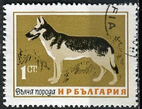 Bulgaria; 1964: Sc. # 1348; Used CTO Single Stamp