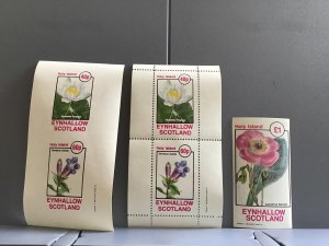 Scotland  Holy Island Calandrinia Speciosa   plant flower MNH stamps R24010