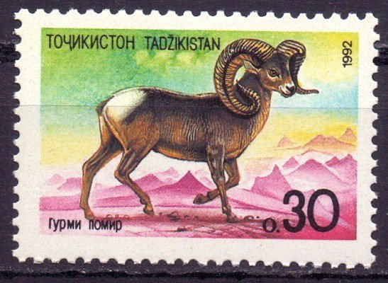 Tajikistan. 1992. four. Argali fauna. MNH.