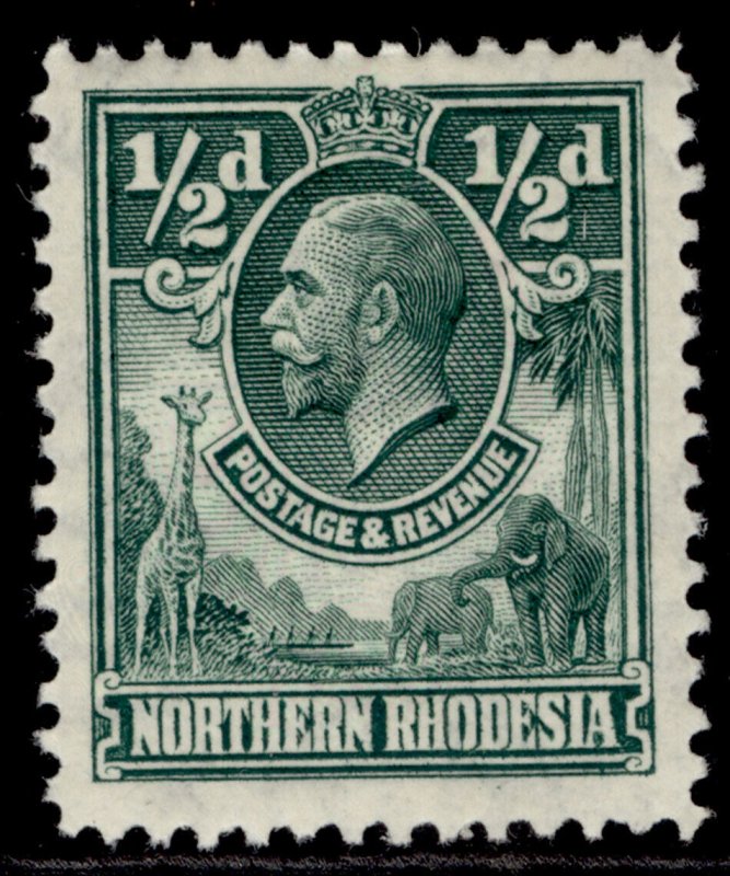 NORTHERN RHODESIA GV SG1, ½d green, M MINT. 
