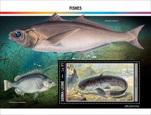 Sierra Leone - 2023 Fishes, Wels Catfish - Stamp Souvenir Sheet - SRL230147b2