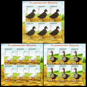 2019 Kyrgyzstan 973KL-975KLb Ducks (edition 200)