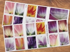 #5767-5776b 2023 Tulip Blossoms Booklet /20 - MNH