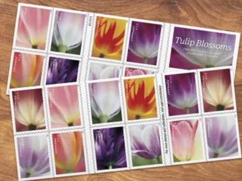 #5767-5776b 2023 Tulip Blossoms Booklet /20 - MNH