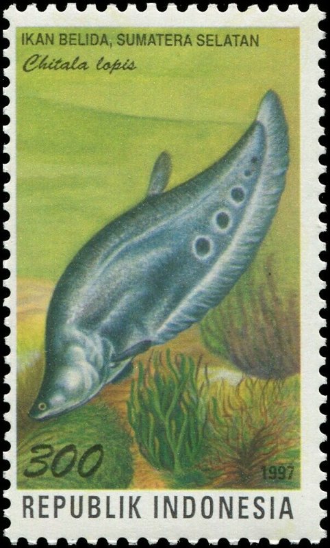 Indonesia 1997 Sc 1737a Fish Chitala Lopis