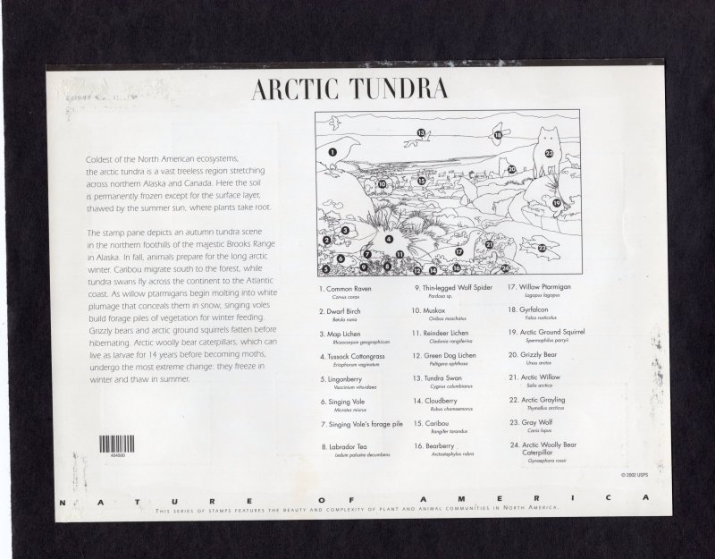 3802 Arctic Tundra, unused sheet/10