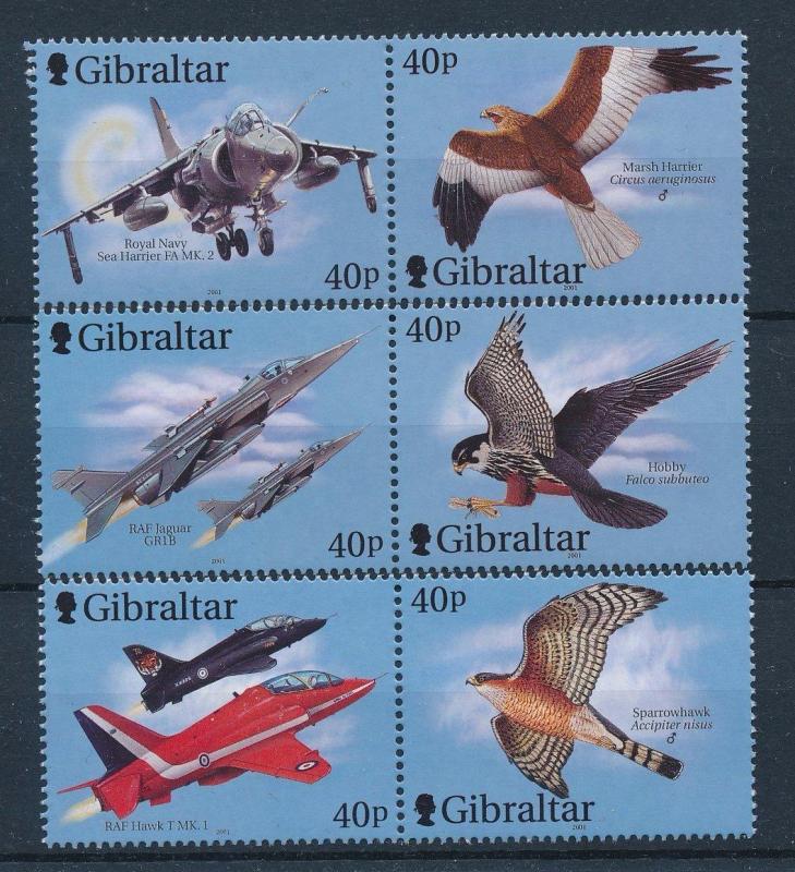 [29905] Gibraltar 2001 Birds Vögel Oiseaux Ucelli Fighter jets MNH