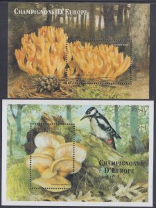 COMORO ISLANDS Sc# 922-3 MNH 2 S/S OF MUSHROOMS