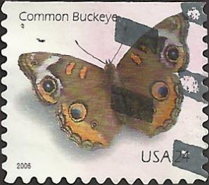 # 4001a USED COMMON BUCKEYE BUTTERFLY