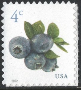 SC#5652 4¢ Blueberries Sheet Single (2022) SA