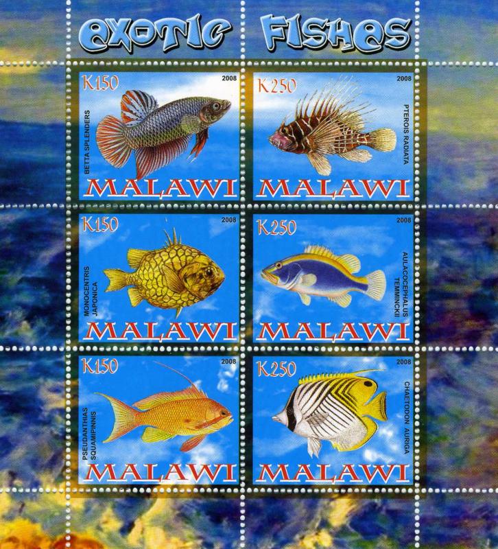 Malawi 2008, Fish Shlt. (4) Perforated mnh.vf 