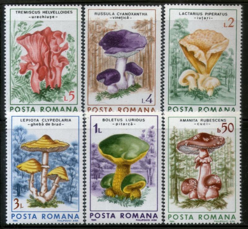 Romania 1986 Mushrooms Fungi Plant Tree 6v MNH # 3286