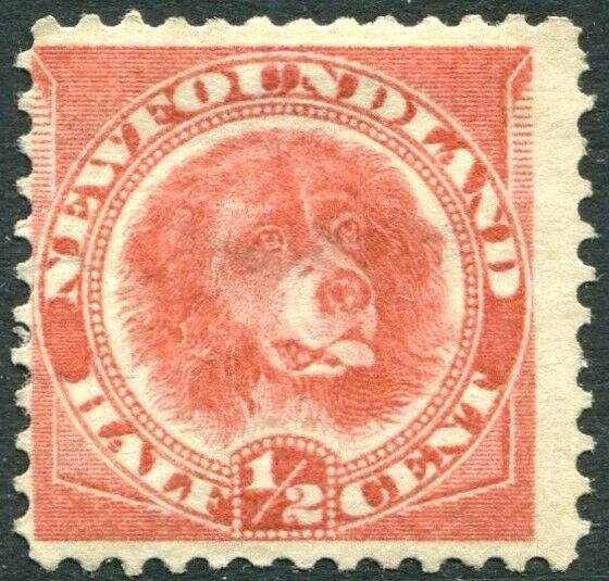 NEWFOUNDLAND-1887 ½c Rose-Red Sg 49 MOUNTED MINT V30307