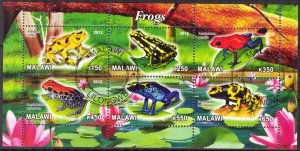 {g1632} Malawi 2012 Frogs sheet Used / CTO Cinderella