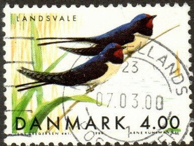 Denmark 1163 - Used - 4k Swallows (1999) (cv $0.85) (3)