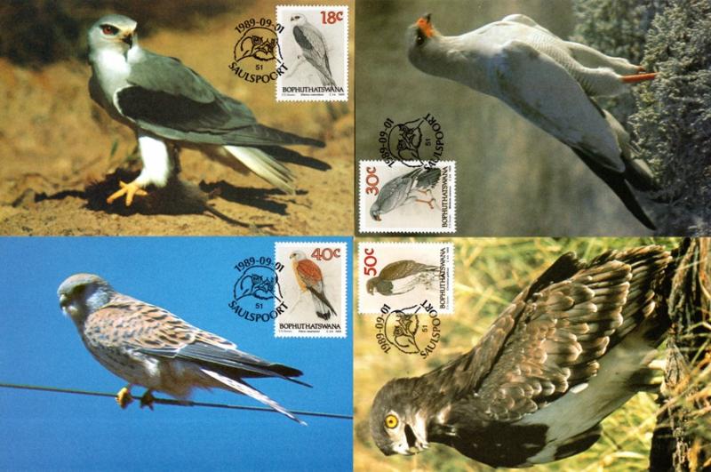 Bophuthatswana - 1989 Birds of Prey Maxi Card Set SG 223-226