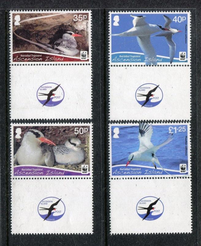 Ascension 1034-1037, MNH, Worldwide Fund for Nature WWF Birds 2011. x29011