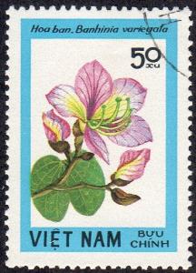 Vietnam 1370 - Cto - 50xu Purple Orchid Tree (1984)