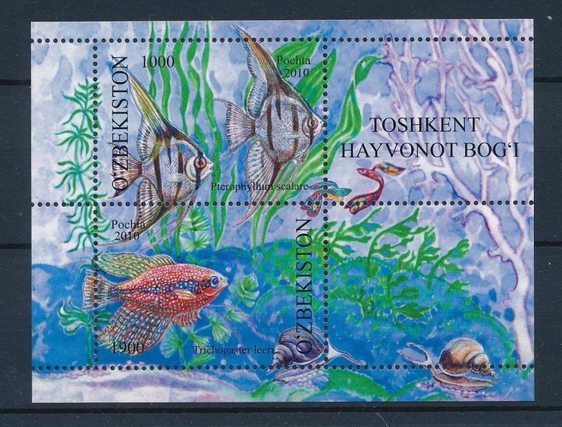 [40639] Uzbekistan 2010 Marine Life Fish MNH Sheet