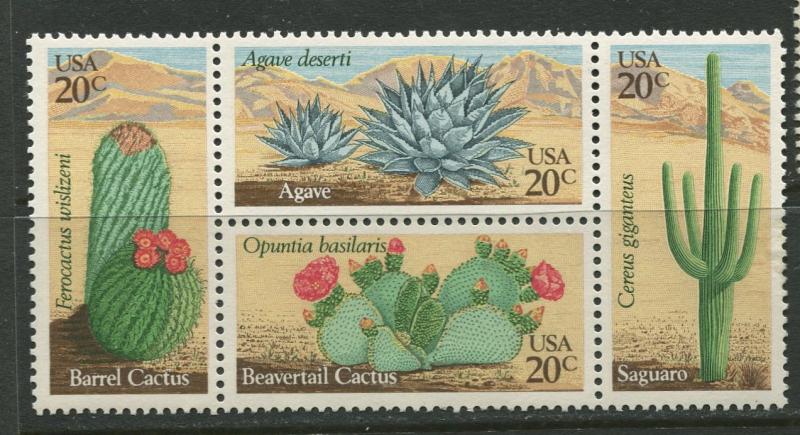 USA - Scott 1945a - Desert Plants - 1981-MNH - Block of 4 X 20c Stamp