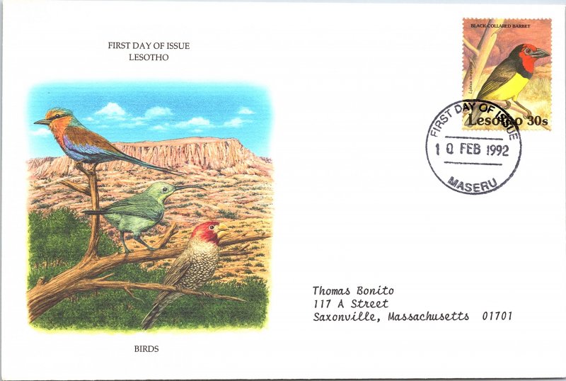 Lesotho, Worldwide First Day Cover, Birds